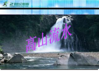 原始丛林找星星