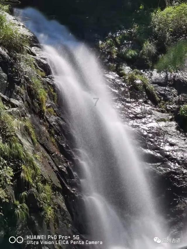 彰显社会责任 树立山东榜样